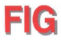 FIG